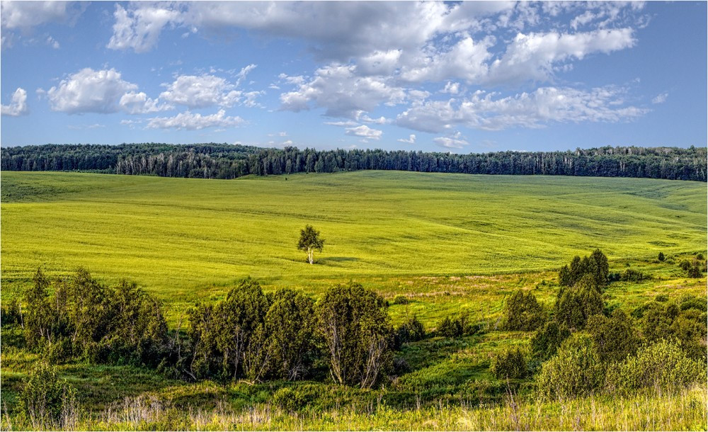 Тихон Тихий